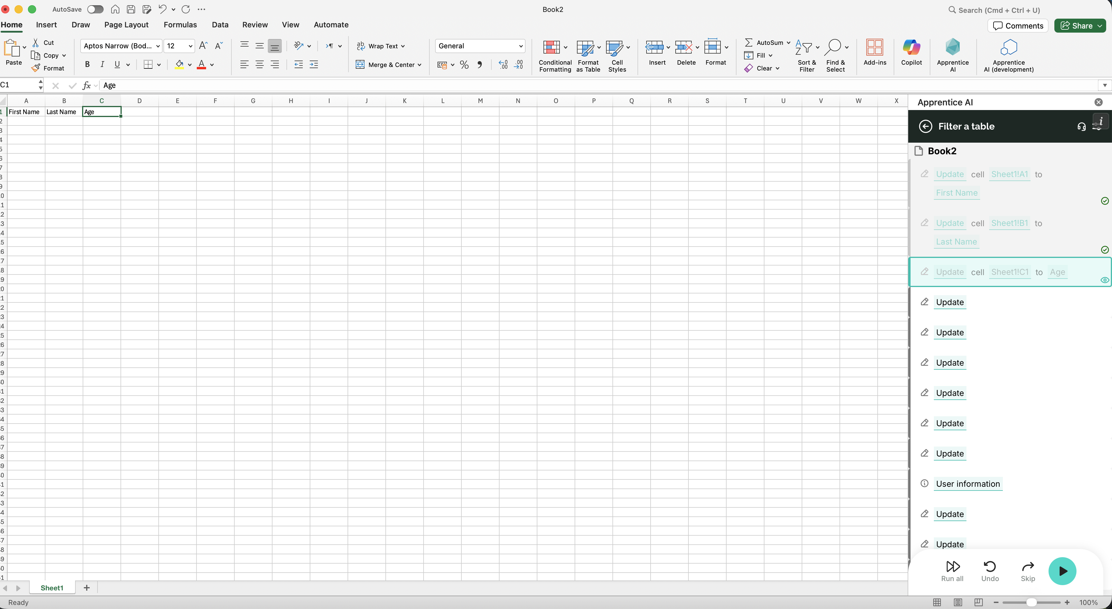 Workflow Execution Window